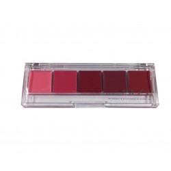 Pro palette 5 lipsticks